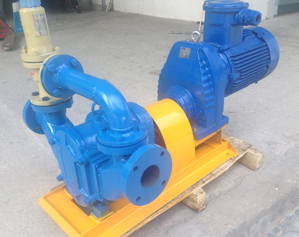 橡膠轉(zhuǎn)子泵具備獨(dú)有的優(yōu)勢(shì)