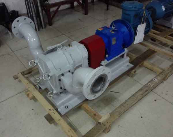 凸輪泵在實(shí)際使用過程中的特點(diǎn)有哪些?