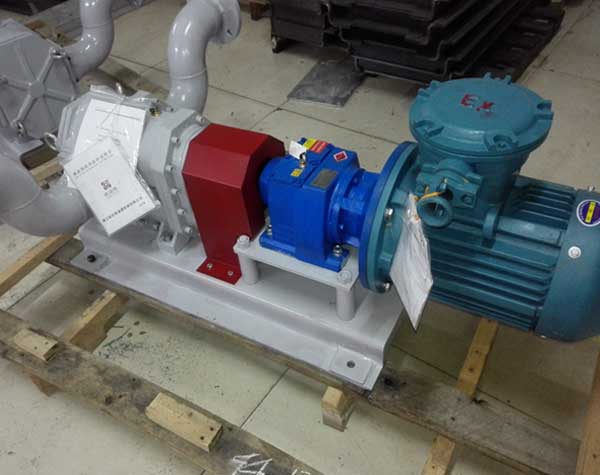 不銹鋼轉(zhuǎn)子泵生產(chǎn)廠家