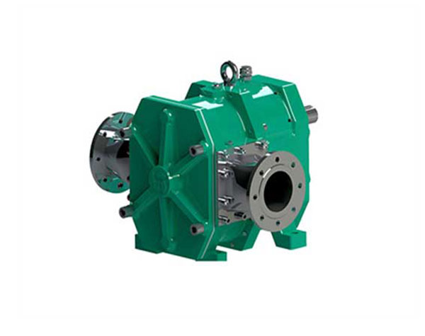 詳細講解轉(zhuǎn)子泵的優(yōu)點有哪些